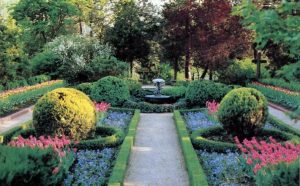 Photo courtesy of the Bartlett Arboretum.